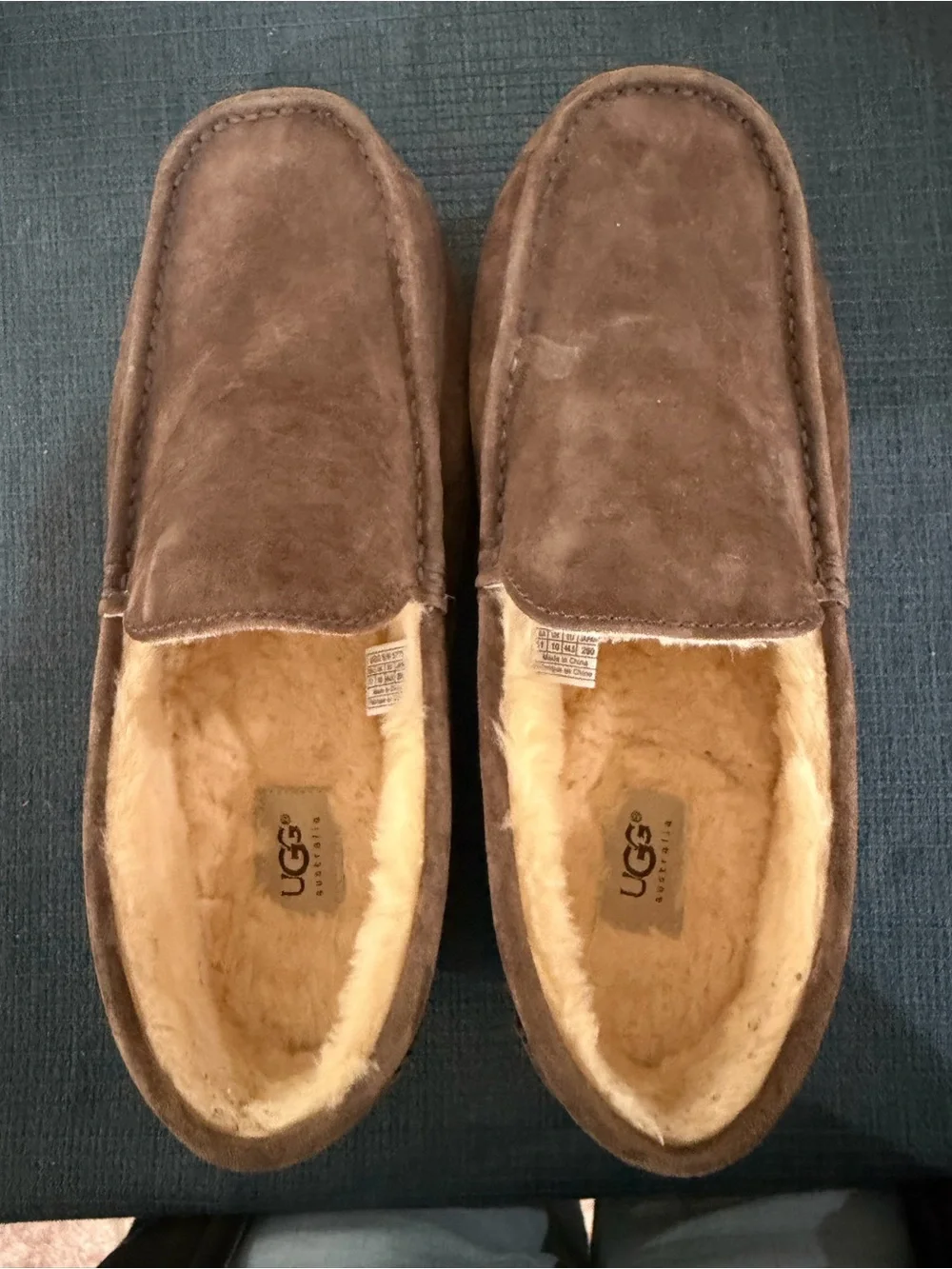 UGG Ascot Slip-On Loafers in Brown Suede